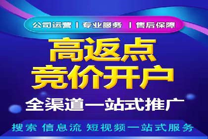 SEM账户竞价策略实战案例分析